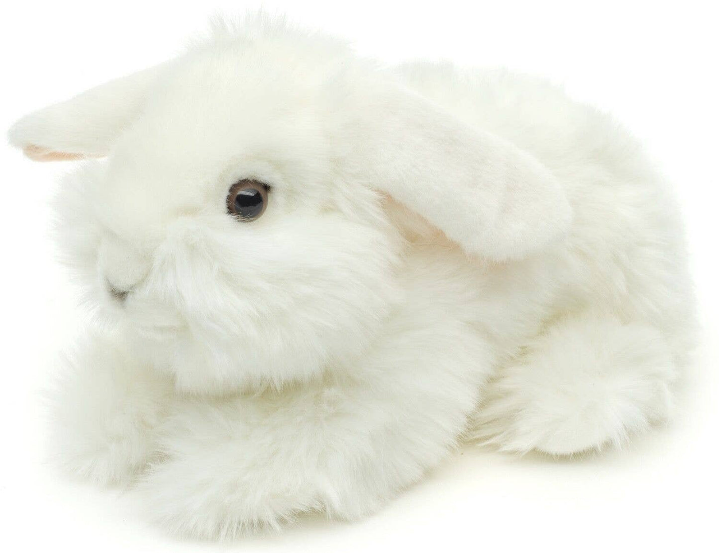 Lionhead Rabbit, White.