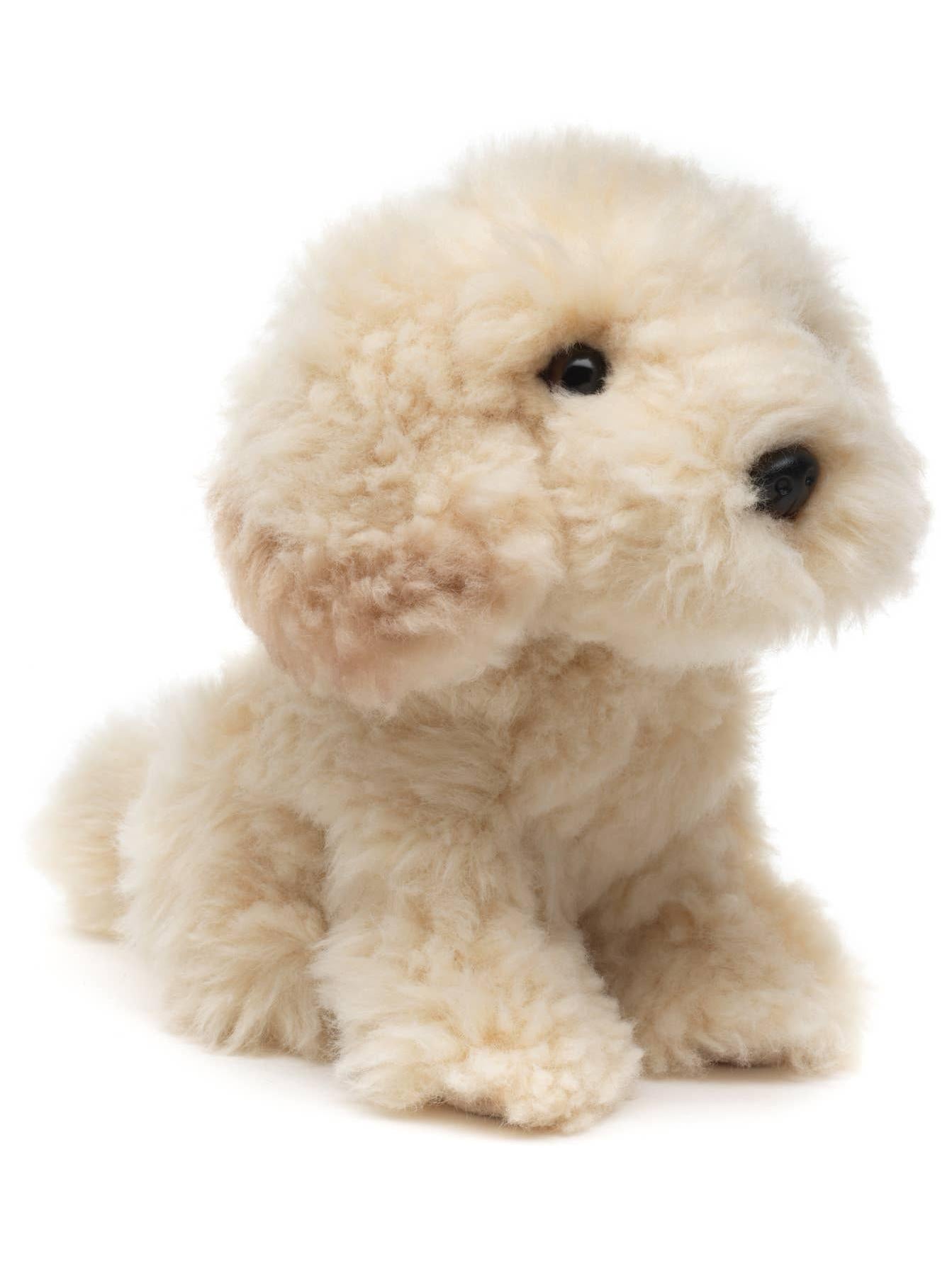 Cockapoo Plush, Sitting
