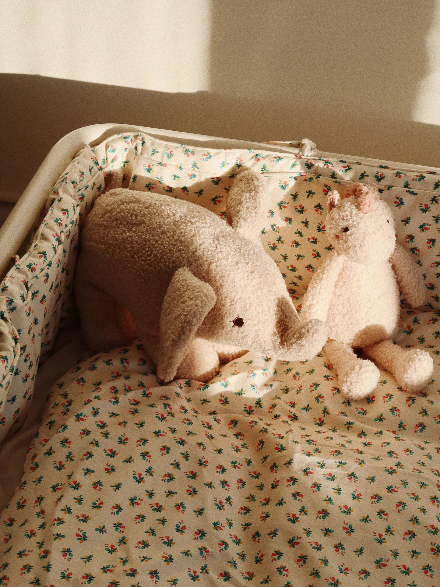 Elephant Teddy, Foxie Oak