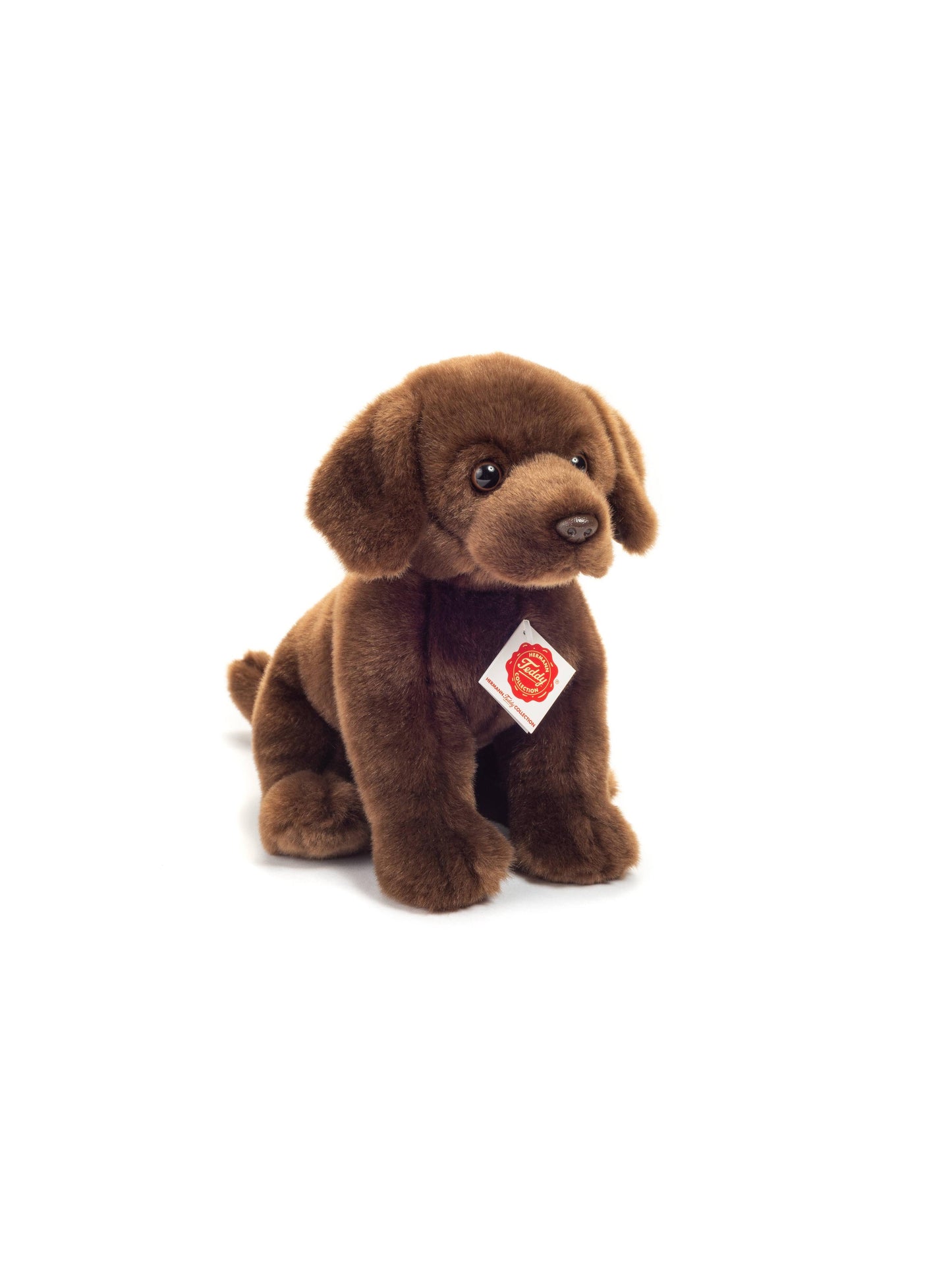 Labrador, Sitting Dark Brown, 25 cm
