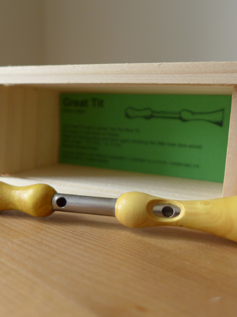 Bird Call, Great Tit, Quelle Est Belle