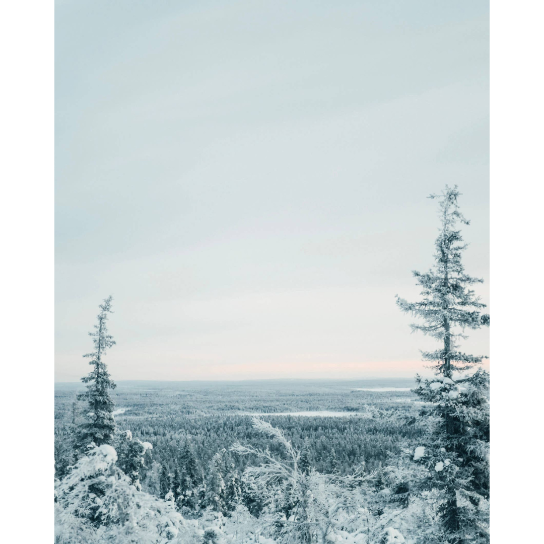 Winter Holiday Collection