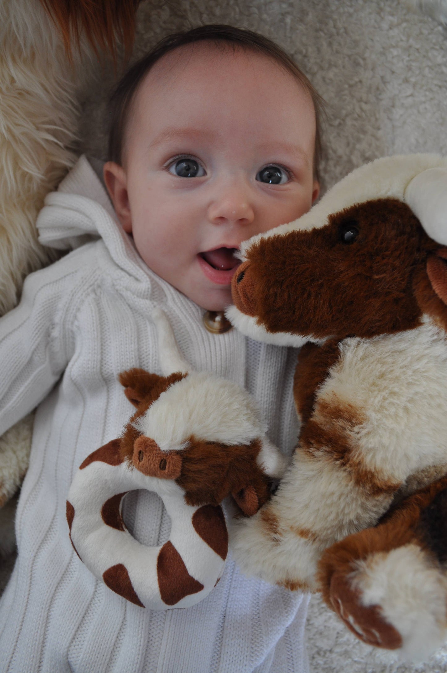 Baby Rattle, Texas Longhorn Highland Cow