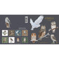 Owls, Square Card Folder, 8 Double Cards & Envelopes, Gold Print, FSC Paper