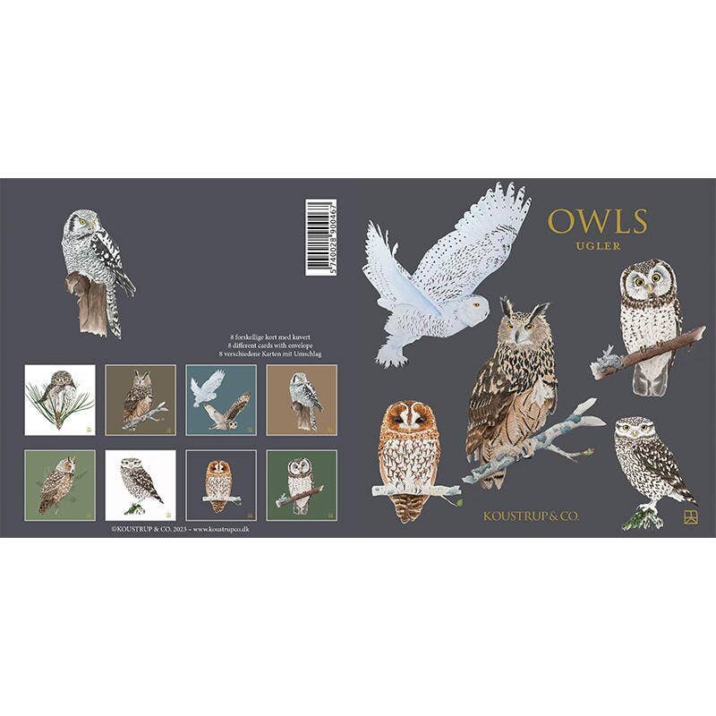 Owls, Square Card Folder, 8 Double Cards & Envelopes, Gold Print, FSC Paper