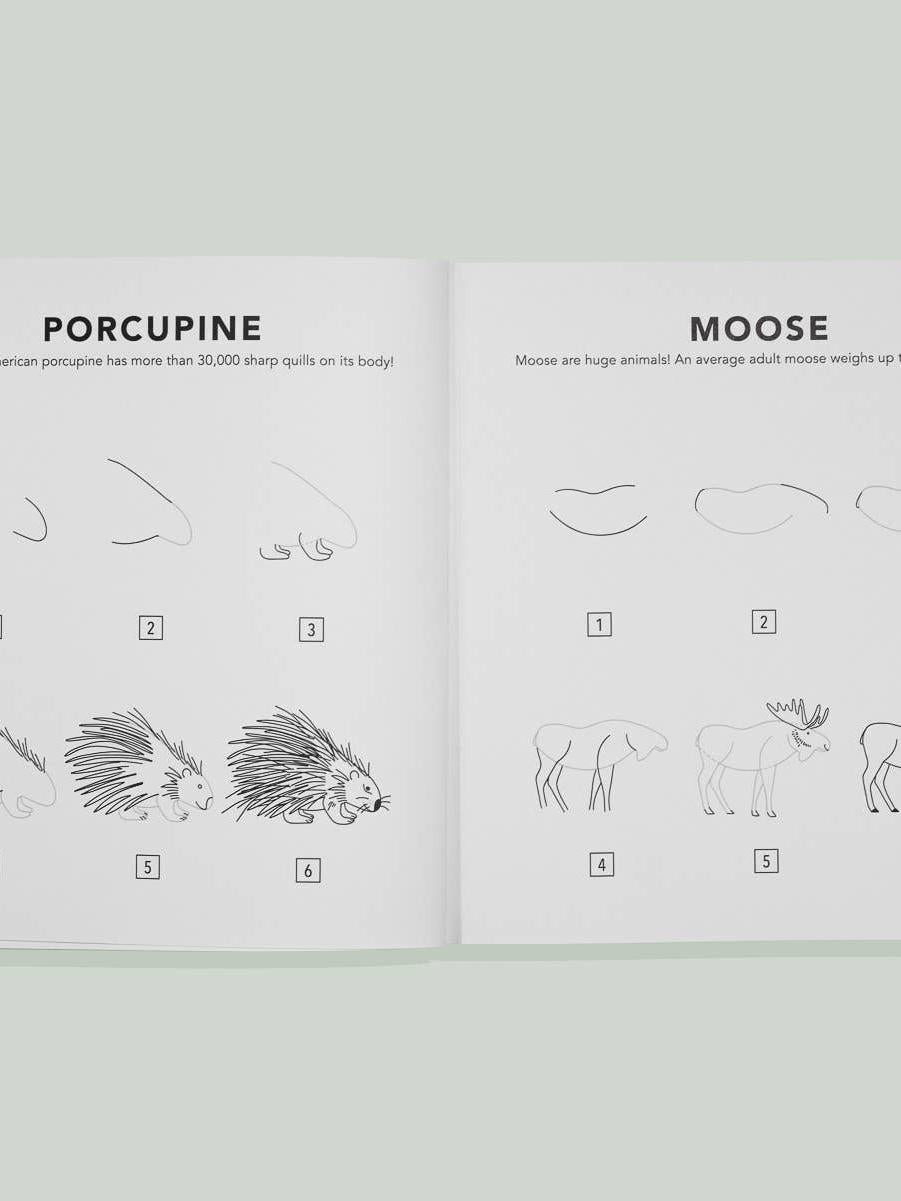 Mushrooms & Woodland Creatures: Kids How to Draw Book (fall)