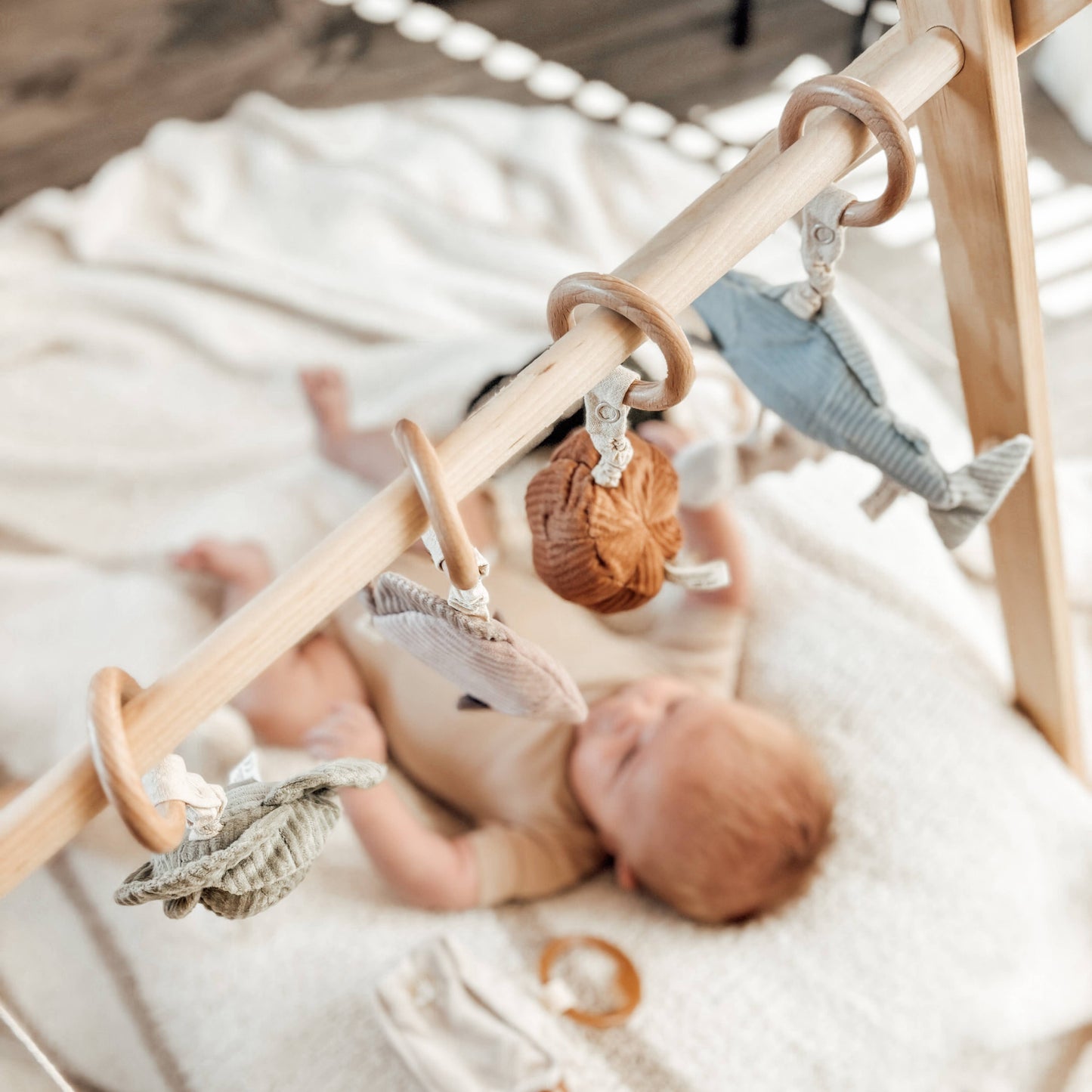 Cabbage, Handheld Rattle for Baby