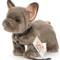 French Bulldog Plush, Gray, With Leash & Collar, 26 cm, Super Soft & Recycled Filling