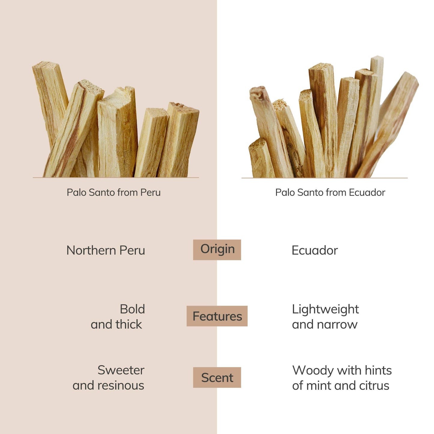 Palo Santo Sticks From Ecuador | 10 sticks