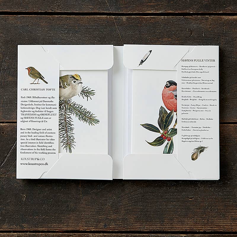 Garden Birds in Winter, 8 Double Cards & Envelopes, FSC Paper