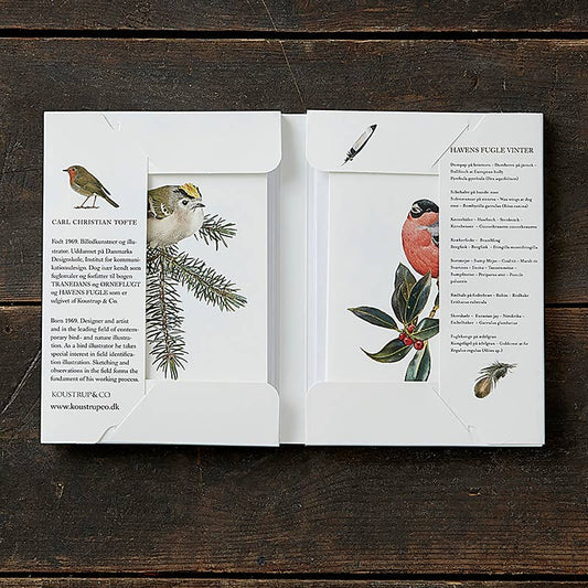 Garden Birds in Winter, 8 Double Cards & Envelopes, FSC Paper