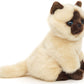 Siamese cat cuddly toy, beige-brown