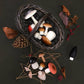 Forest Mushrooms Basket, Wooden Play Set