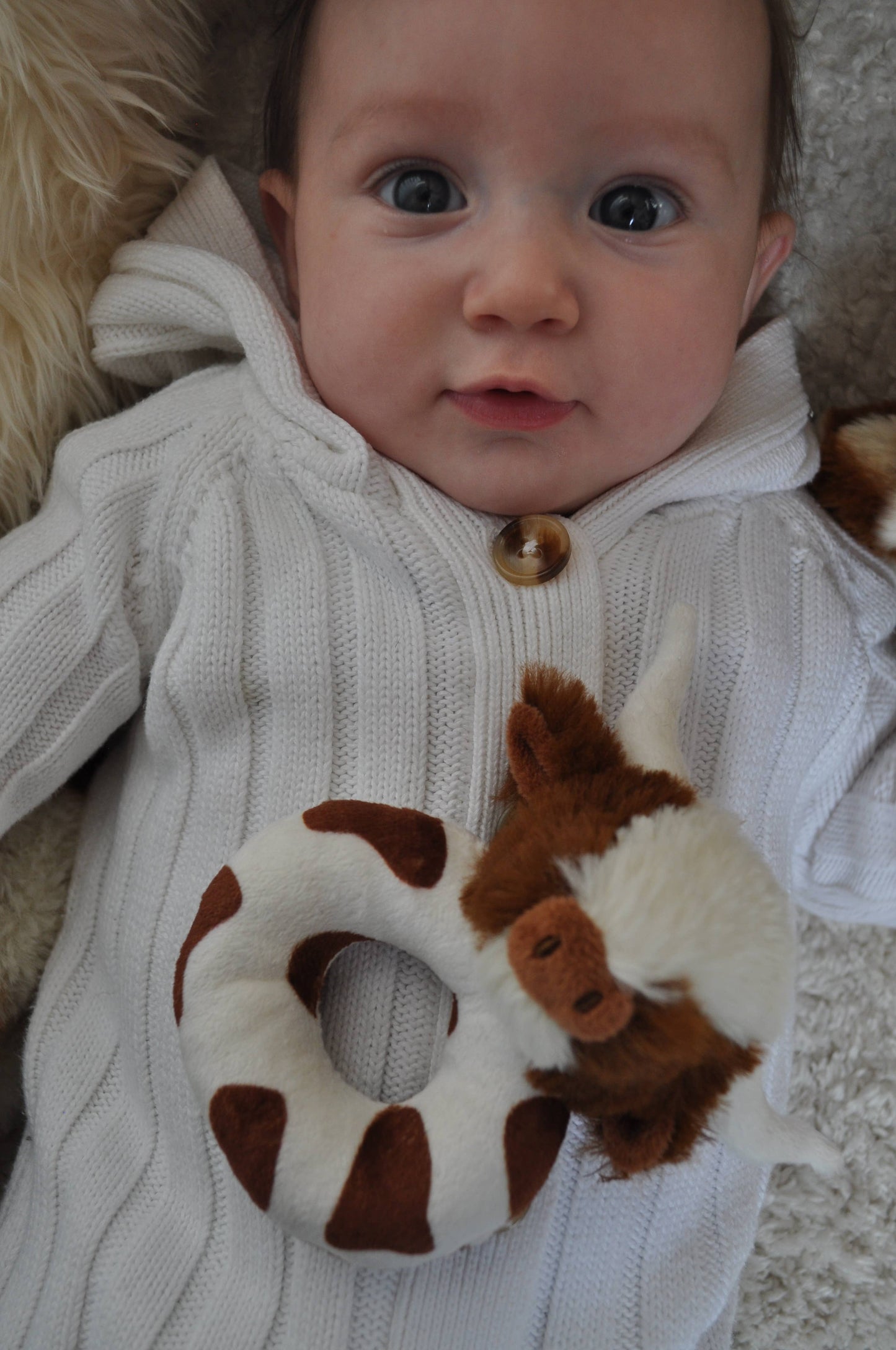 Baby Rattle, Texas Longhorn Highland Cow
