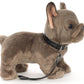 French Bulldog Plush, Gray, With Leash & Collar, 26 cm, Super Soft & Recycled Filling