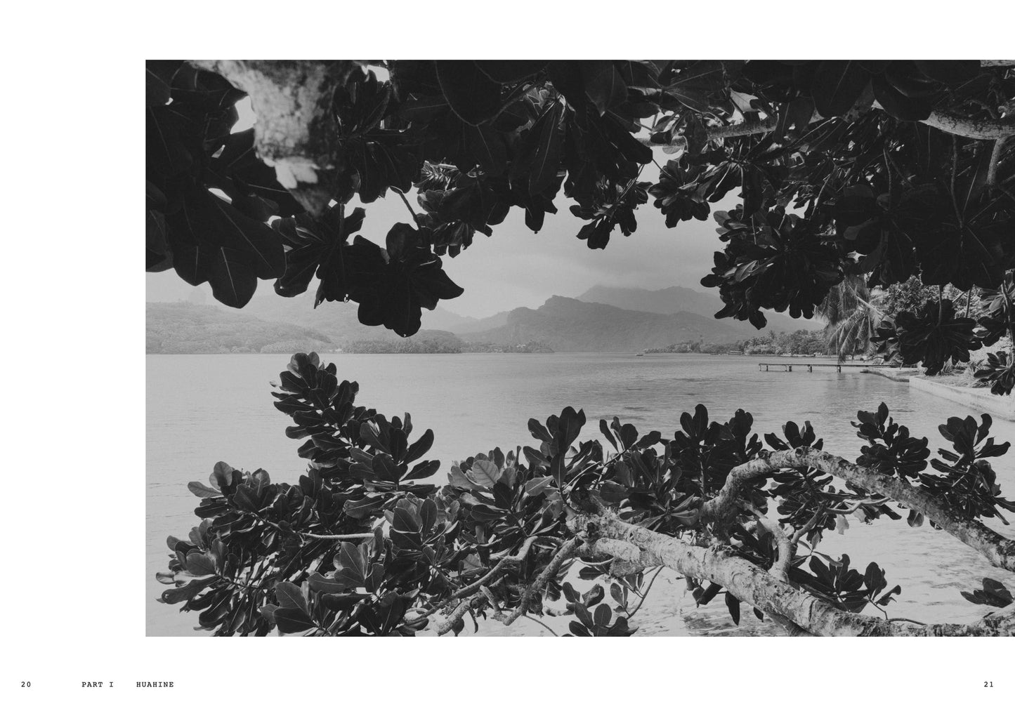 Notes From The Pacific