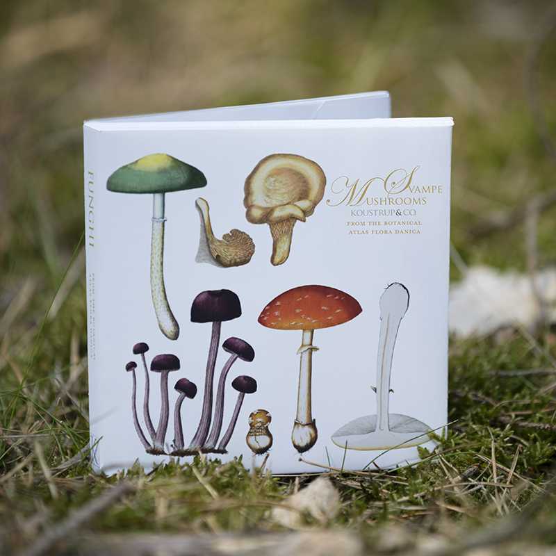 Flora Danica Mushrooms, Square Card Folder, 8 Double Cards & Envelopes, 15×15 cm, Gold Print