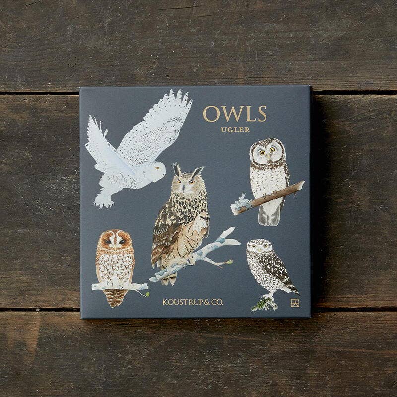 Owls, Square Card Folder, 8 Double Cards & Envelopes, Gold Print, FSC Paper