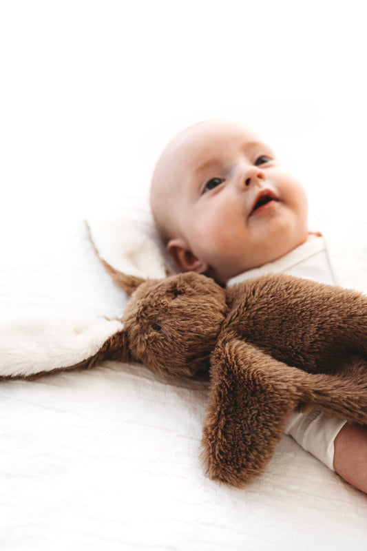 Bunny snuggle bear - Brown