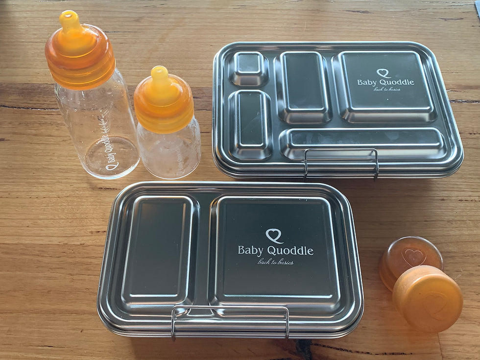 Bento Box, Quoddle Bottle, More Sizes