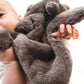 Elephant snuggle bear - Grey