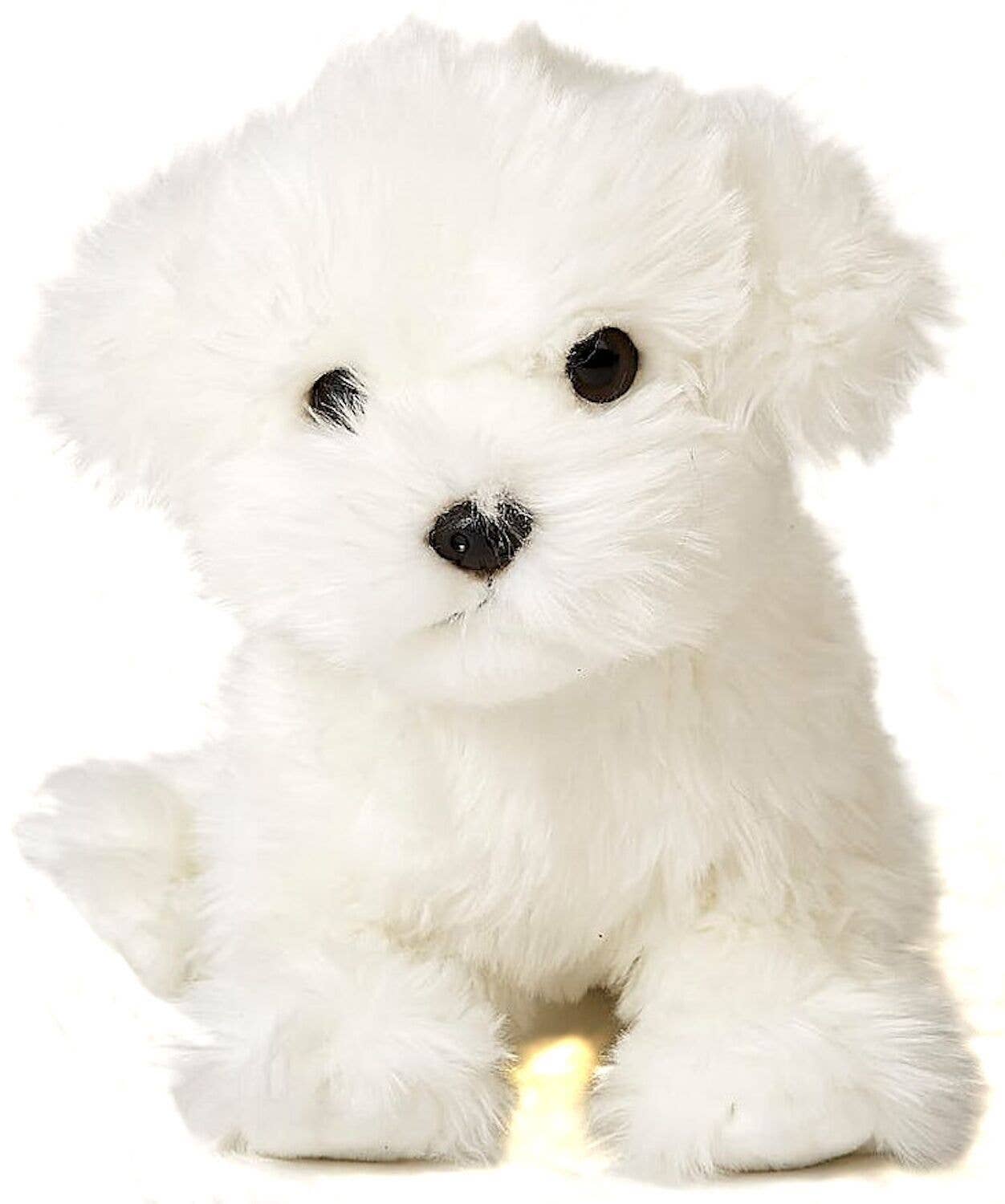 Maltese Dog Plush, 26 cm, Super Soft & Recycled Filling