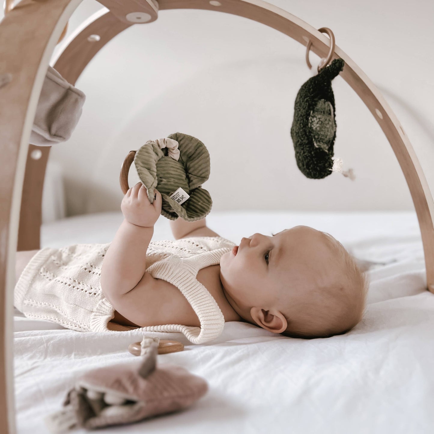 Cabbage, Handheld Rattle for Baby