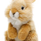 Plush rabbit toy on a white background