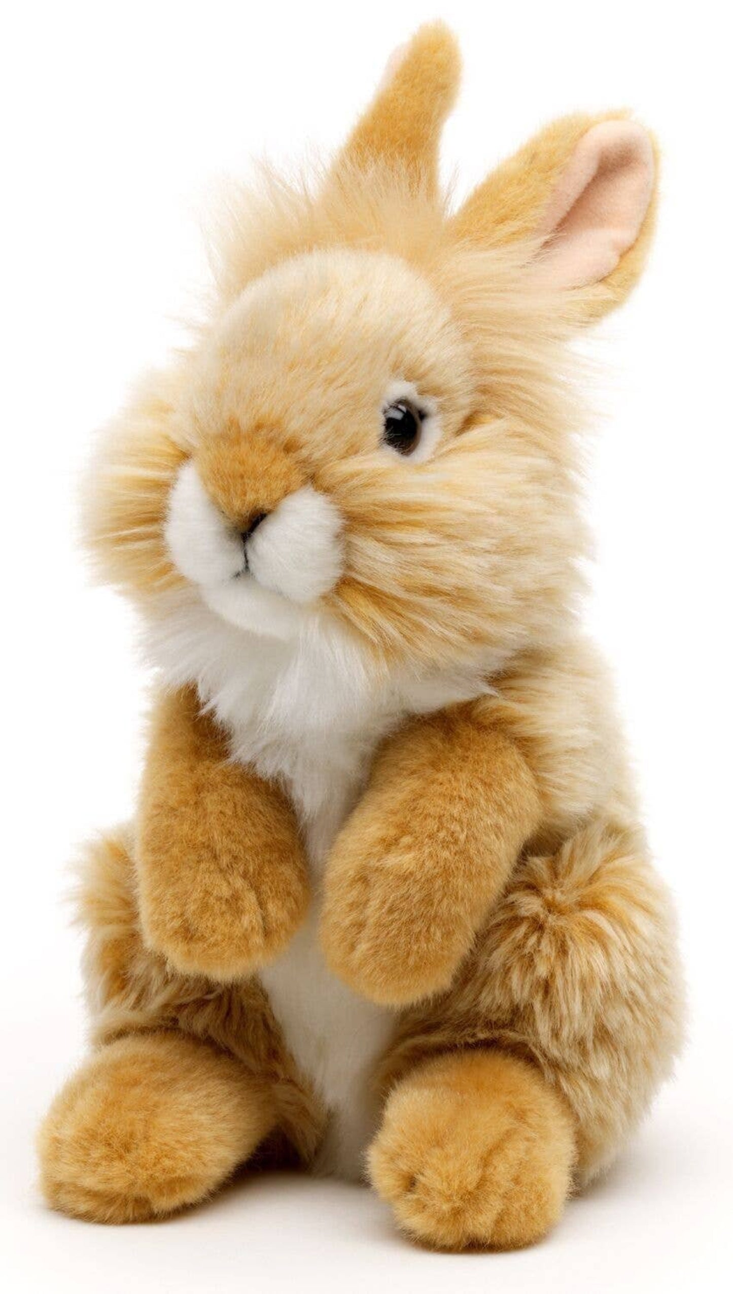 Plush rabbit toy on a white background