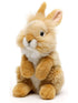 Plush rabbit toy on a white background