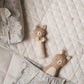 Baby Rattle, Brave Bear