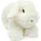 Lionhead Rabbit, White.