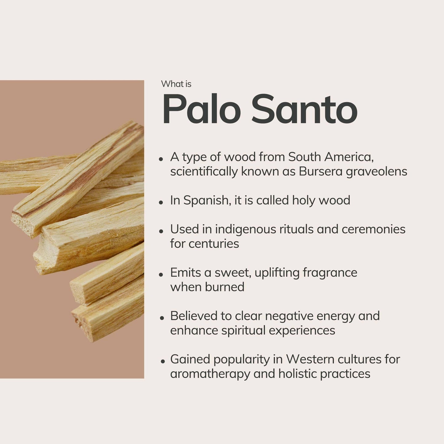 Palo Santo Sticks From Ecuador | 10 sticks