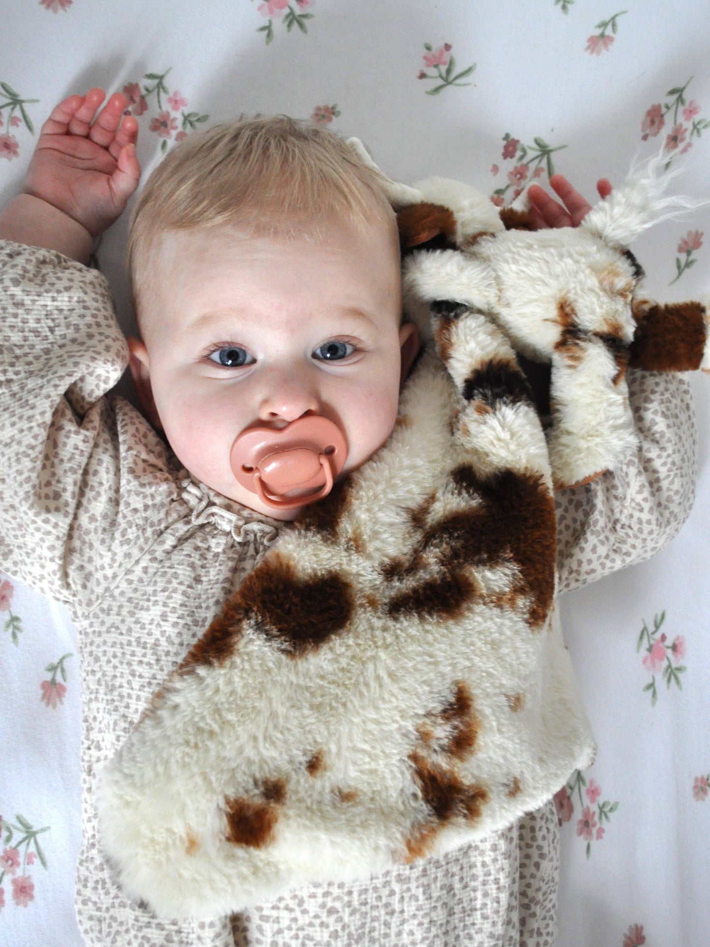 Texas Longhorn Highland Cow, Soft Toy Soother Comforter, 29cm