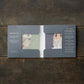 Owls, Square Card Folder, 8 Double Cards & Envelopes, Gold Print, FSC Paper