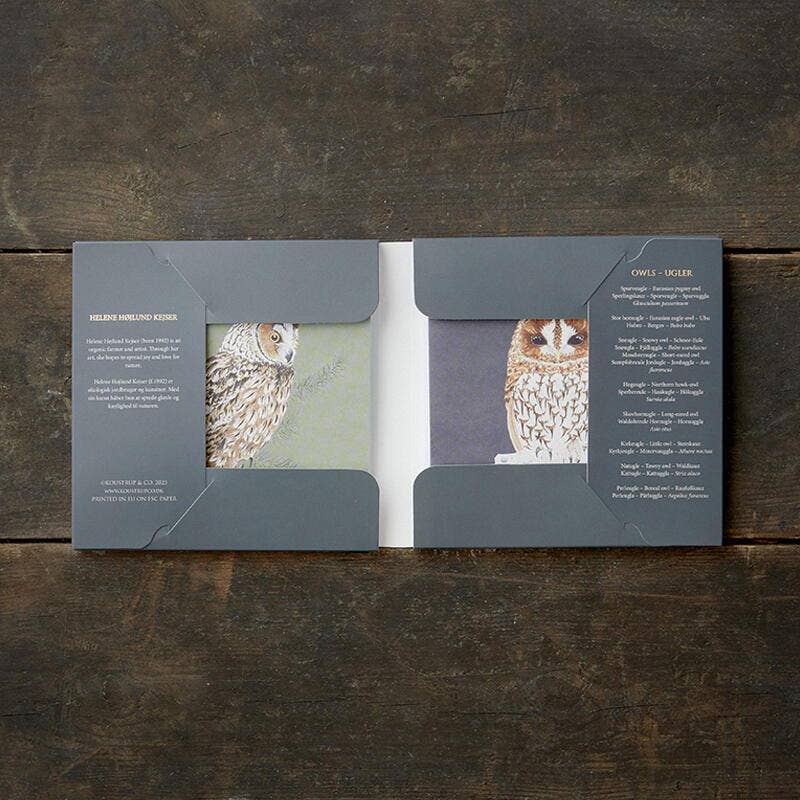 Owls, Square Card Folder, 8 Double Cards & Envelopes, Gold Print, FSC Paper