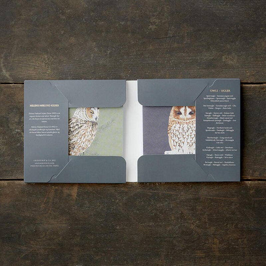 Owls, Square Card Folder, 8 Double Cards & Envelopes, Gold Print, FSC Paper
