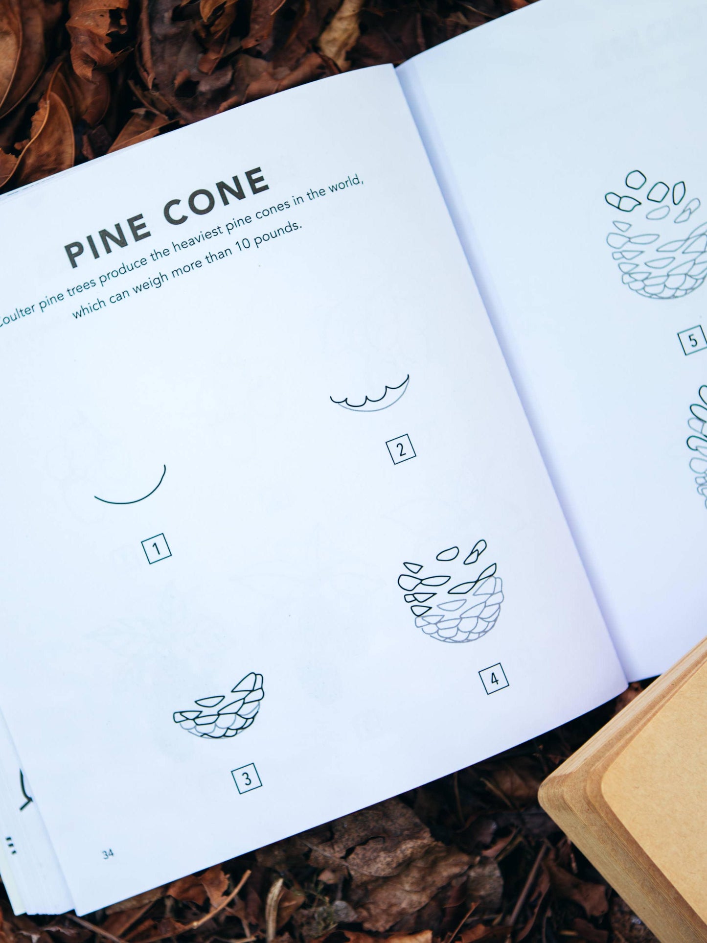 Fall Things: How to Draw Books for Kids with Pumpkins, Scarecrows, Turkeys and More