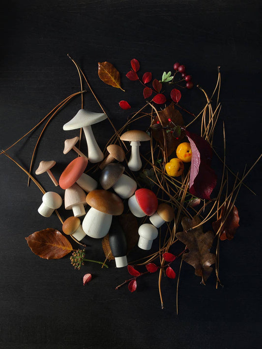 Forest Mushrooms Basket, Wooden Play Set