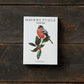 Garden Birds in Winter, 8 Double Cards & Envelopes, FSC Paper