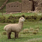 Alpaca Teddy, Lama, Elvang, Fairtrade & Natural