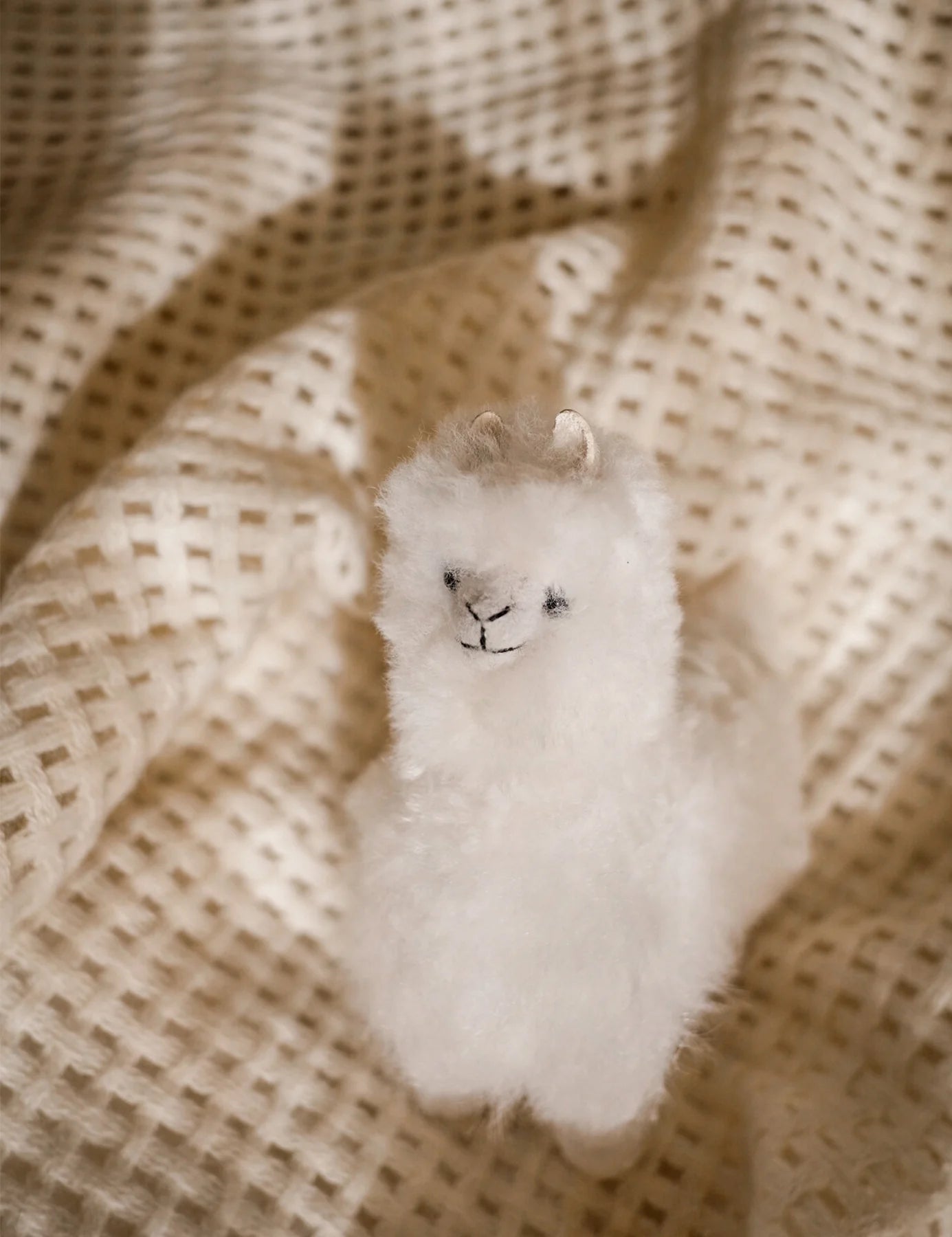 Alpaca Teddy, Lama, Elvang, Fairtrade & Natural