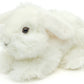 Lionhead Rabbit, White.