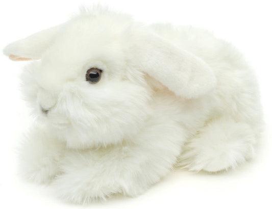 Lionhead Rabbit, White.