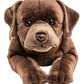 Labrador Plush, Lying with Harness, Brown, 60 cm, Super Soft & Recycled Filling