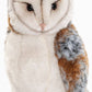 Barn owl cuddly toy
