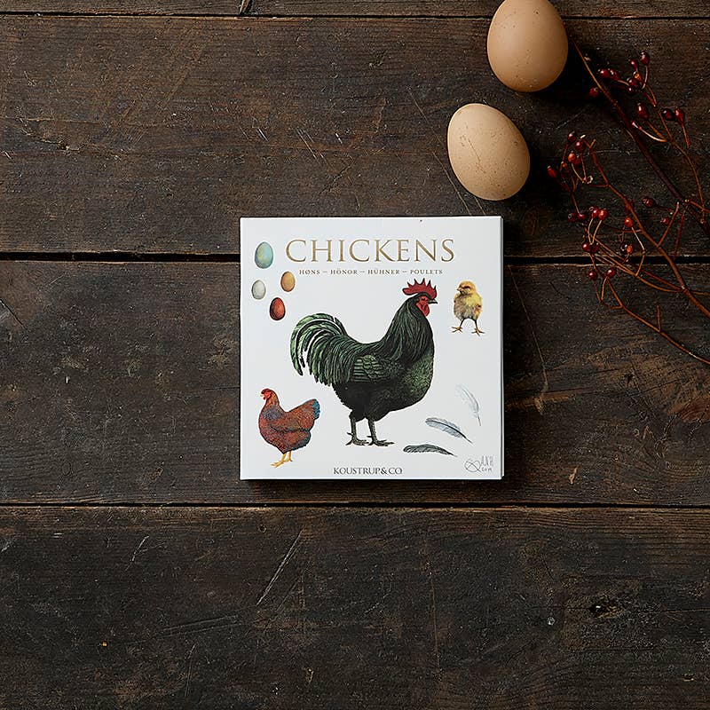 Chickens, Square Card Folder, 8 Cards & Envelopes, 15×15 cm