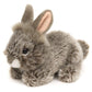 Angora Rabbit Plush, Lying, Gray