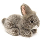 Angora Rabbit Plush, Lying, Gray