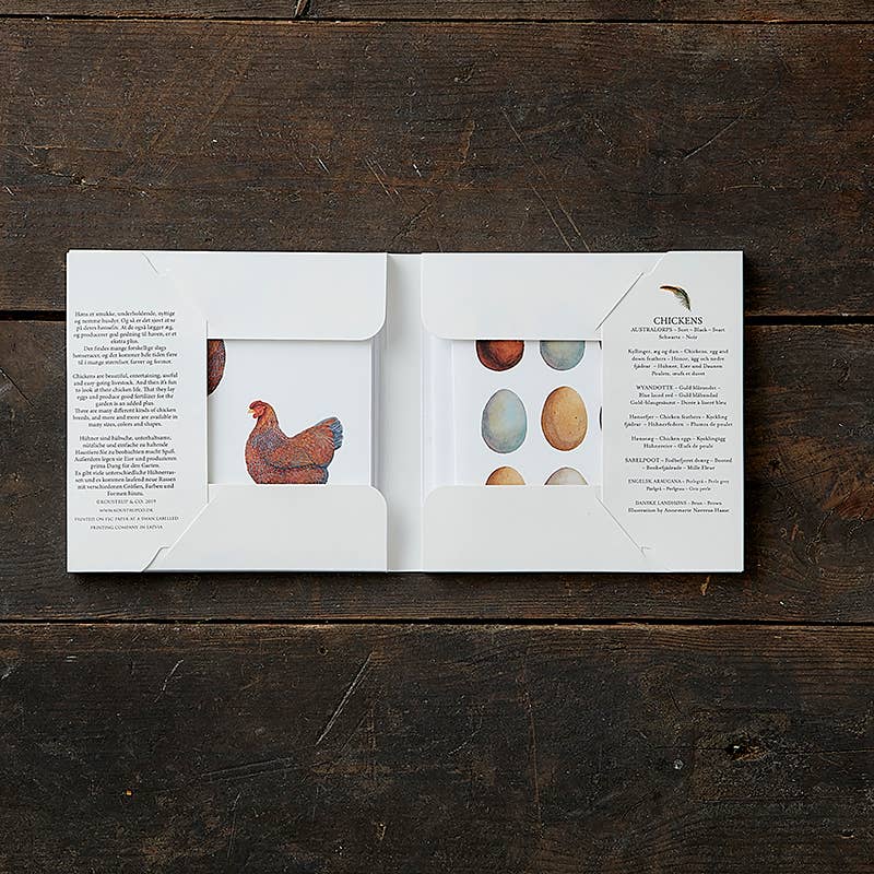 Chickens, Square Card Folder, 8 Cards & Envelopes, 15×15 cm